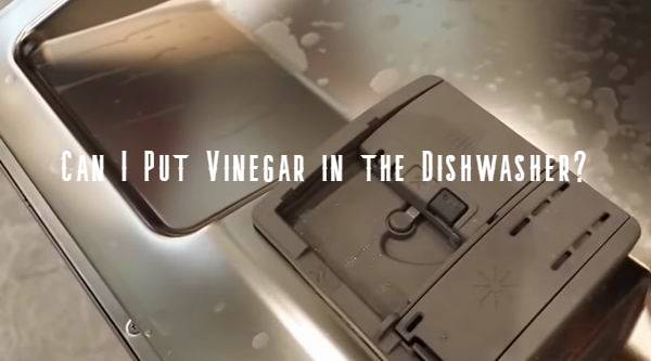 can i put vinegar in my dishwasher to clean it